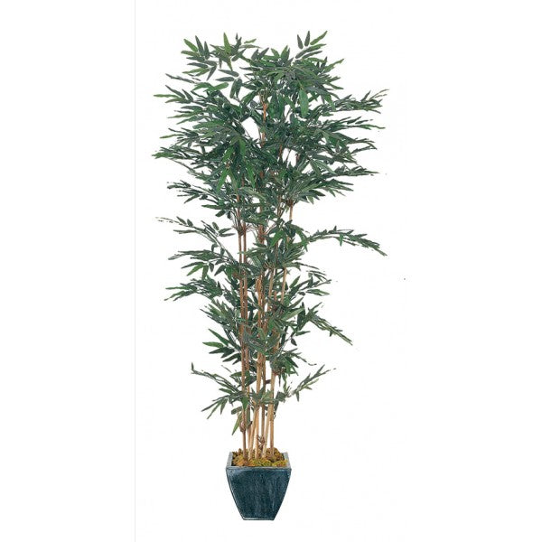 Μπαμπού 1,20Μ 71/1040/4