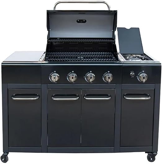 Barbecue Indiana  4+1 Burner/Passion Grills