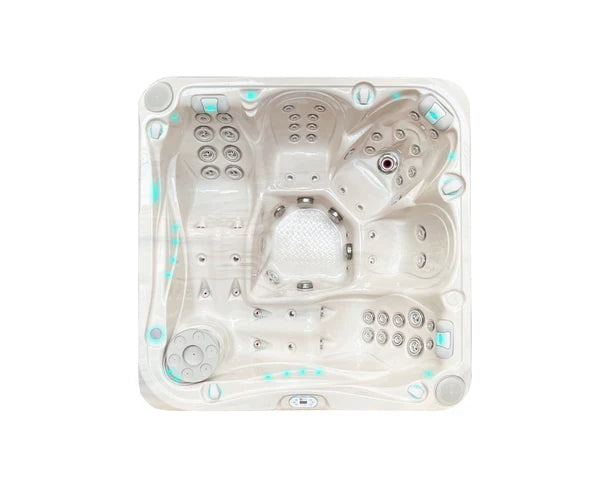 Swim Spa Delight