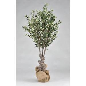 Ελιά 1,20cm Κωδικος: 71/1794/4